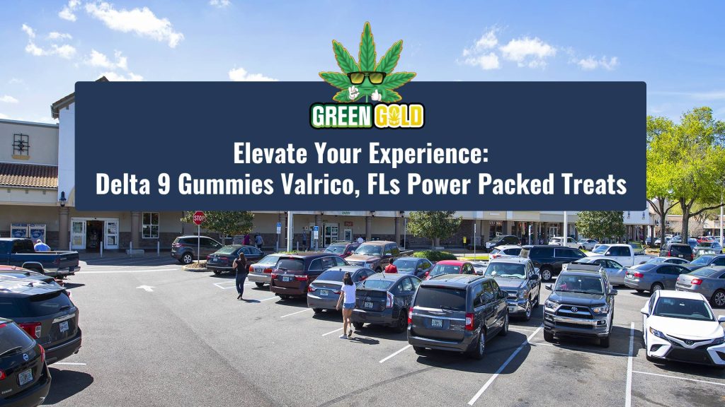 Elevate Your Experience_ Delta 9 Gummies Valrico FLs Power Packed Treats