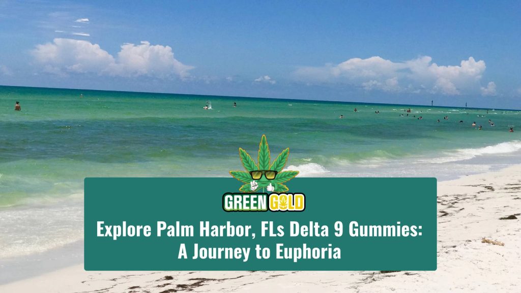 Explore Palm Harbor FLs Delta 9 Gummies_ A Journey to Euphoria