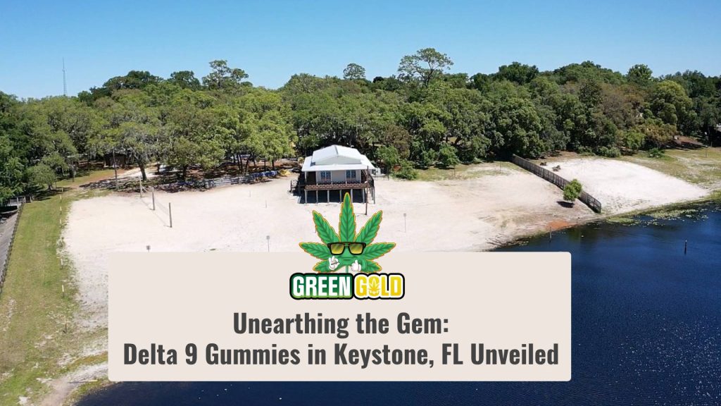 Unearthing the Gem_ Delta 9 Gummies in Keystone FL Unveiled