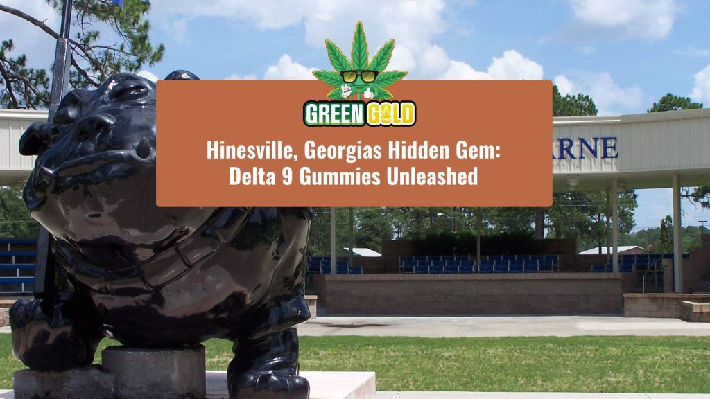 Hinesville, Georgias Hidden Gem: Delta 9 Gummies Unleashed