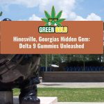 Hinesville, Georgias Hidden Gem: Delta 9 Gummies Unleashed